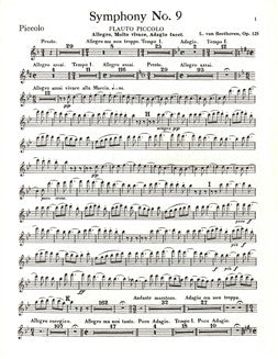 Beethoven, L. - Symphony No. 9 - Piccolo - FLUTISTRY BOSTON