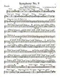 Beethoven, L. - Symphony No. 9 - Piccolo – FLUTISTRY