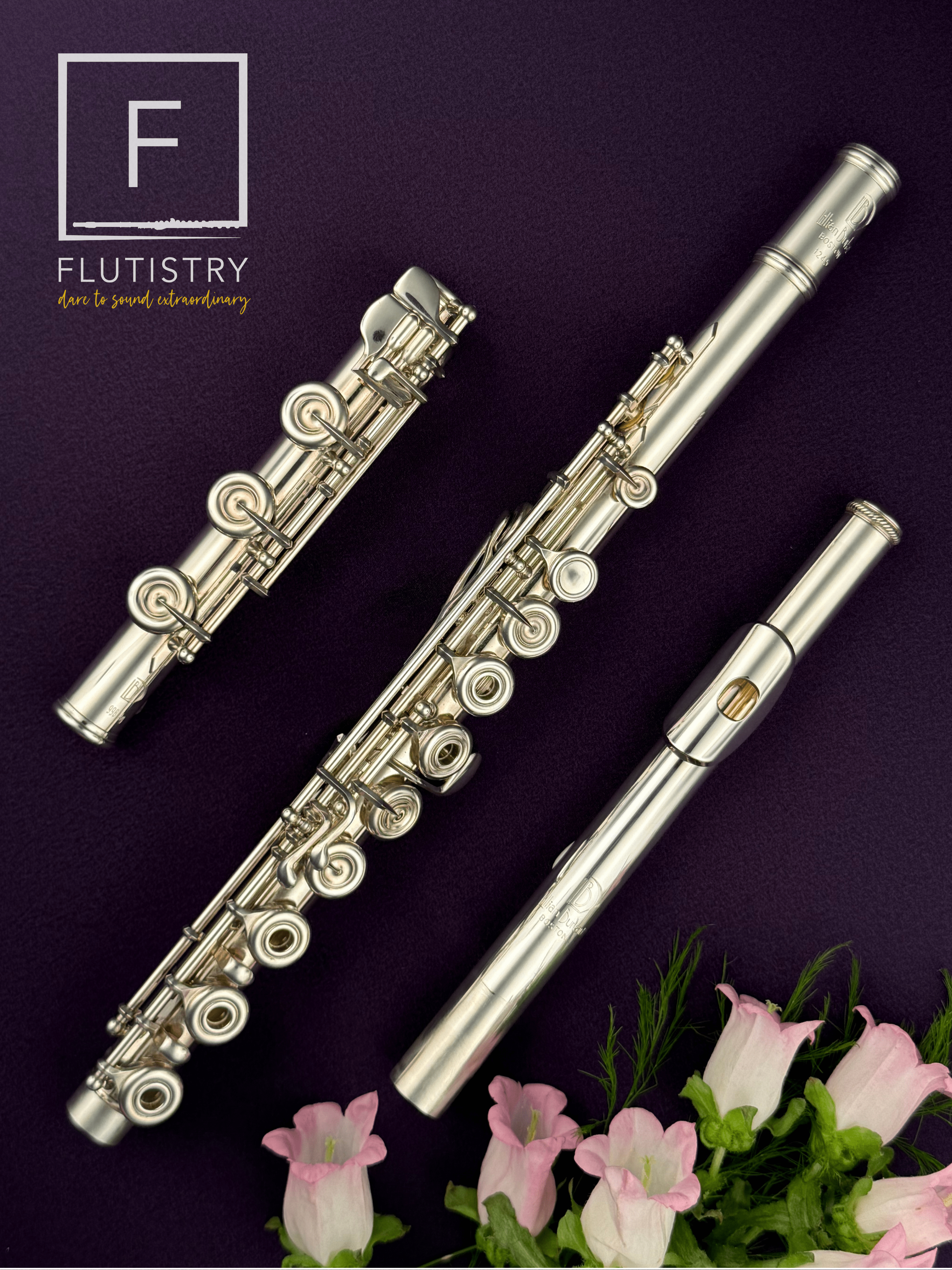 Burkart Professional Flute - Silver - B footjoint, Offset G, Split E, C trill, D roller, Open hole - FLUTISTRY
