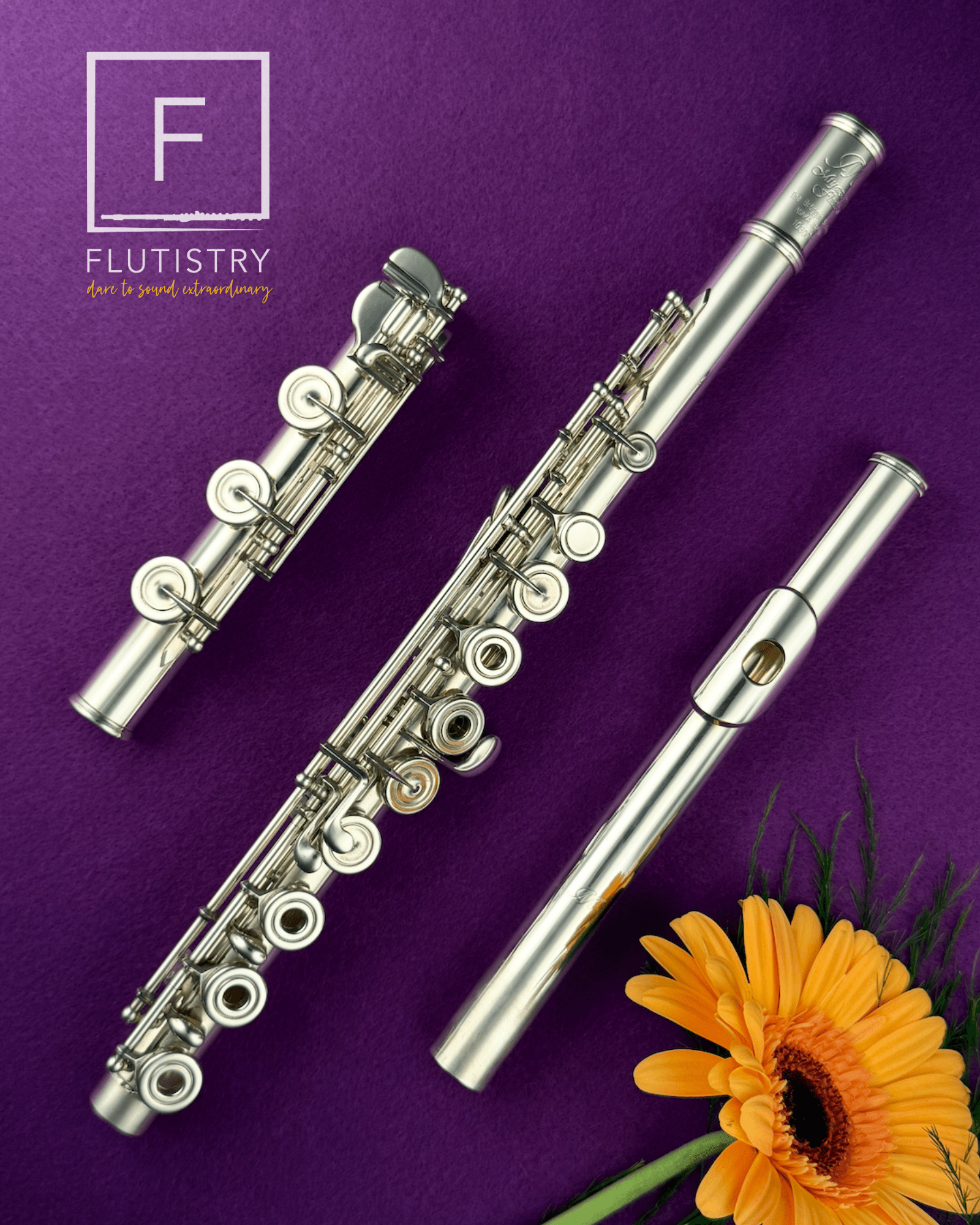 Miyazawa Vision Flute - Silver - 103004 - FLUTISTRY