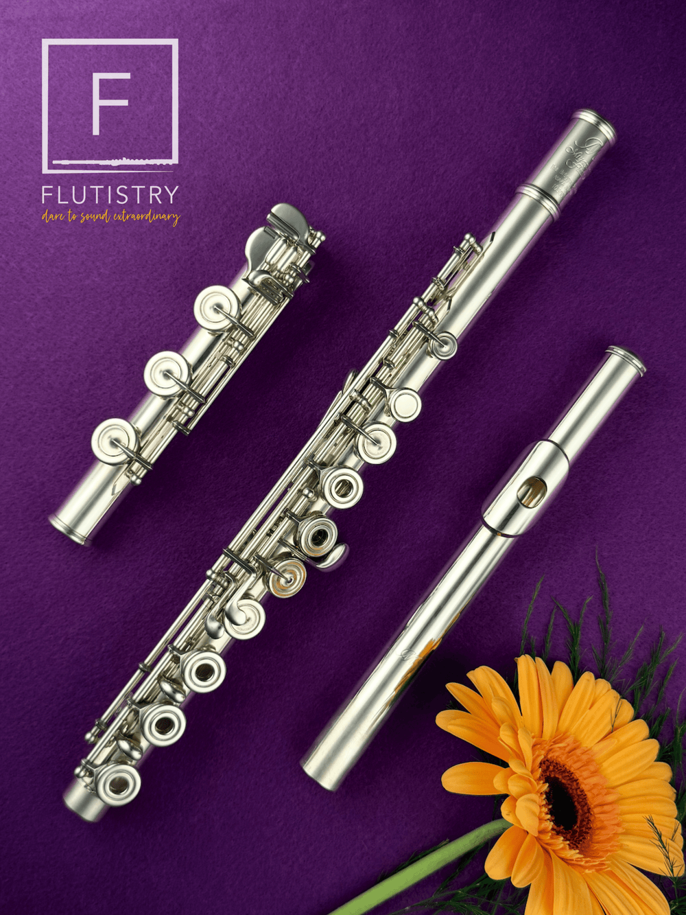 Miyazawa Vision Flute - Silver - 103004 - FLUTISTRY