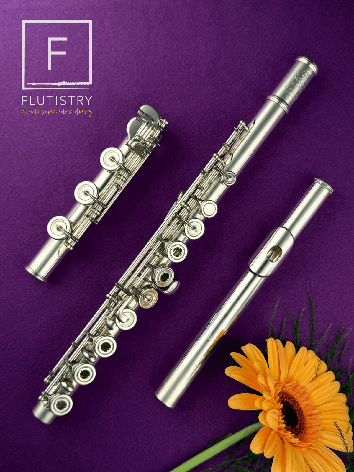 Miyazawa Vision Flute - Silver - 103004 - FLUTISTRY