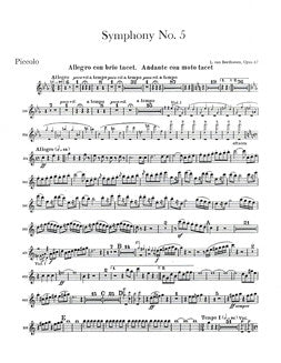 Beethoven, L. - Symphony No. 5 - Piccolo - FLUTISTRY BOSTON