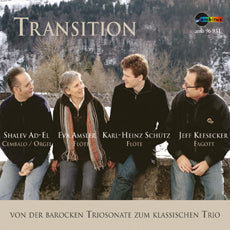 Transition (Amsler, Schutz)