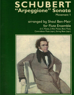 Schubert, F. - "Arpeggione" Sonata, Movement 1 - FLUTISTRY BOSTON